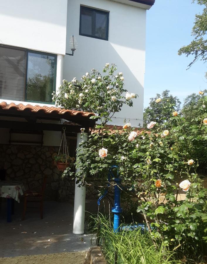 Apartments Nena 3* Liznjan Exterior photo